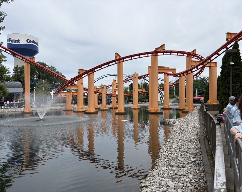 img 0339
